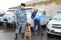Воронежские почтовики наградили полицейскую собаку Зорро  за поимку напавших на почтальона