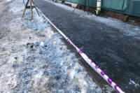 В Росприроднадзоре назвали возможную причину выпадения синего снега в Петербурге
