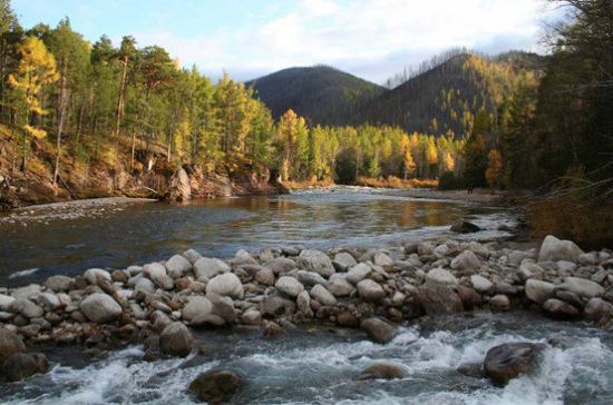 Медведев распорядился создать новый национальный парк в Карелии