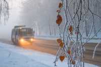 Прокуратура Кузбасса проверяет информацию о высаженной из автобуса на мороз девочки 11-ти лет