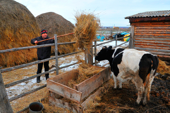 Валентина Матвиенко предложила объявить 2019-й Годом села