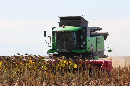 Регионы смогут устанавливать дифференцированные ставки сельхозналога