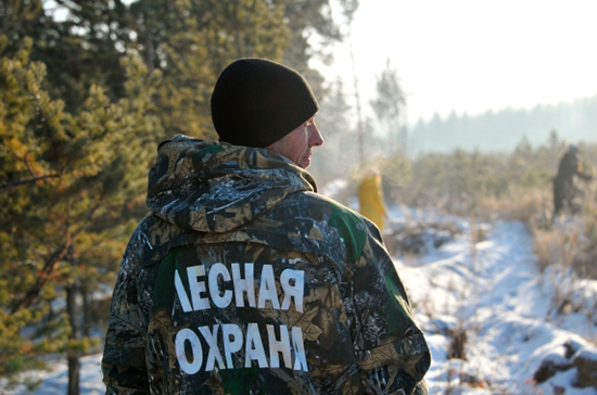 Лесные пожары потушат деньгами