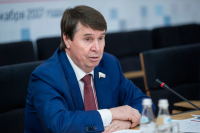 Цеков оценил жизнеспособность идеи о размещении миротворцев ООН в Донбассе