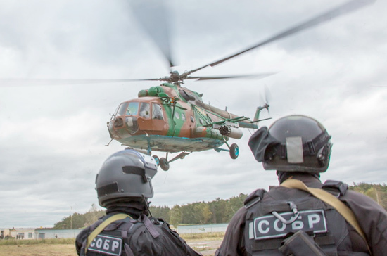 Росгвардия может получить право запрашивать данные о коррупционерах в ФНС