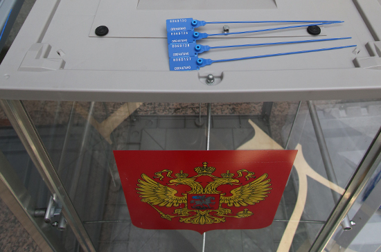 Госдума приглашает 250 зарубежных наблюдателей на выборы Президента России