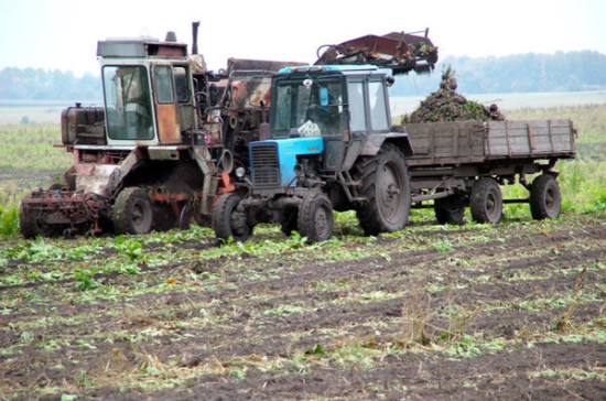 Правительство направит на развитие сельского хозяйства порядка 240 млрд рублей в 2018 году