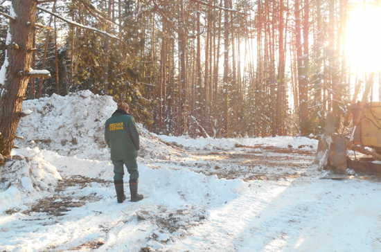 На увеличение штата лесников из федерального бюджета направят 1 млрд рублей