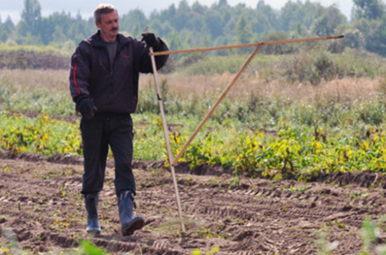 В России предложили упорядочить перечень документов для заявки на действия с землёй 