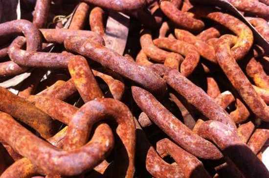 Роспотребнадзор назвал причину вспышки смертельной болезни в ЮАР 