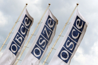 В ОБСЕ прокомментировали выдворение российской журналистки из Украины