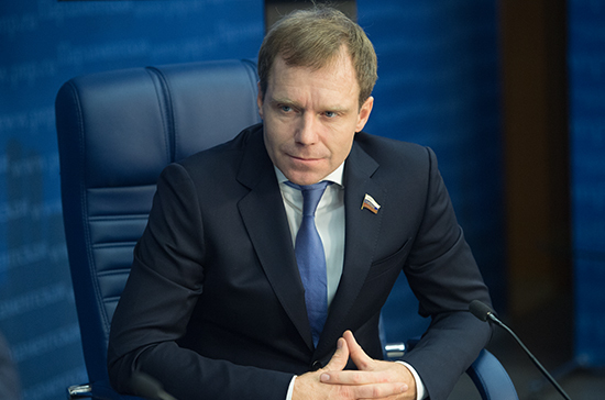 Сенатор Андрей Кутепов предложил упростить получение льгот многодетными