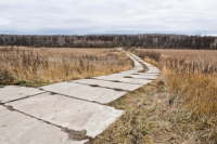 В Орловской области украли бетонную дорогу между сёлами, лишив жителей сообщения 