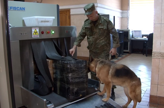 Таможенники аэропорта Владивостока задержали багаж с желчью медведя