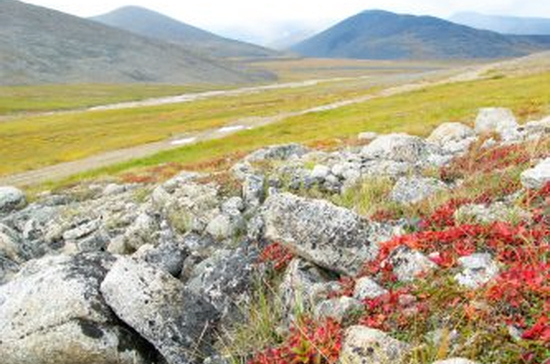 Чукоткий АО создаёт новую «золотую» ТОР «Баимская»