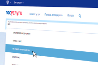 В Минкомсвязи назвали самый популярный портал в Рунете