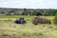 В Минсельхозе России сообщили о готовности заместить сельхозпродукцию США 