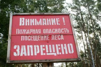 В Крыму запретили посещение лесов на 21 день из-за чрезвычайной ситуации