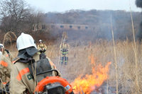 Пожары уничтожают заповедники на Дальнем Востоке, сообщают СМИ