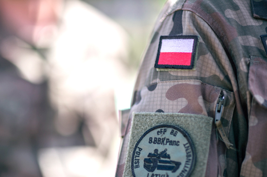 Эксперт оценил планы Польши по созданию американской военной базы