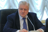 Миронов прокомментировал инсценировку убийства Бабченко