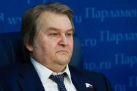 Емельянов предложил провести в России амнистию в честь 25-летия Конституции