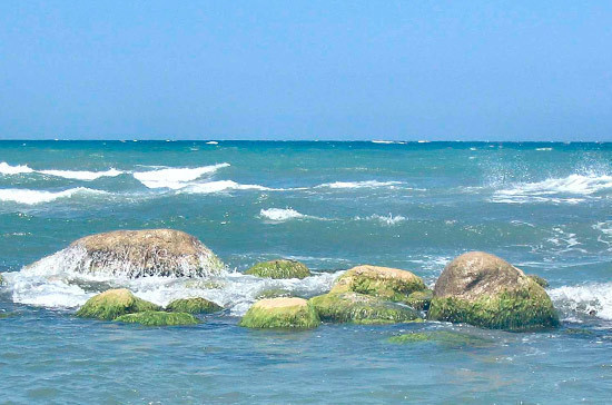 Российские учёные предложили новый способ очистки морей