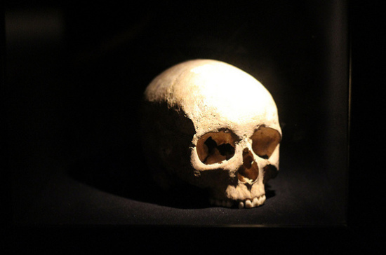 Петербургские археологи нашли древний череп с трепанацией