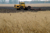 В Ростовской области из-за жары снизилась урожайность зерновых 