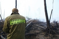 В России появится единый центр профилактики лесных пожаров