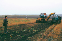 Невостребованные земельные доли предприятий станут землями сельхозназначения