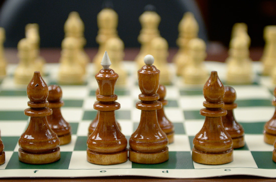 Карпов предложил готовить в вузах педагогов по шахматам