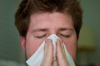 Учёные назвали эффективный микроэлемент для борьбы с простудой