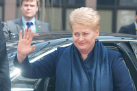 Лидер правящей партии Литвы обвинил Далю Грибаускайте в попытке его свергнуть