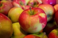 В России регламентируют содержание пестицидов в яблоках