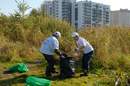 В России могут появиться волонтёрские экологические патрули