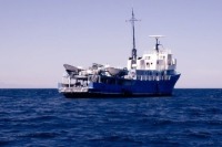 Моряков терпящего бедствия у берегов Крыма буксира подняли на сухогруз 