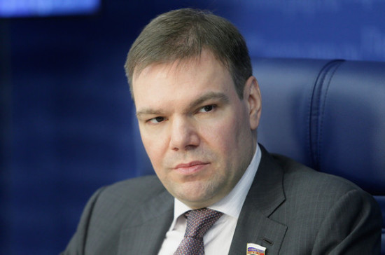Левин: доступ следствия к информации операторов связи поможет быстро находить детей