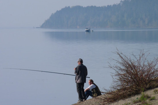 Срок действия договоров на вылов рыбы могут продлить до 31 декабря 2018 года 