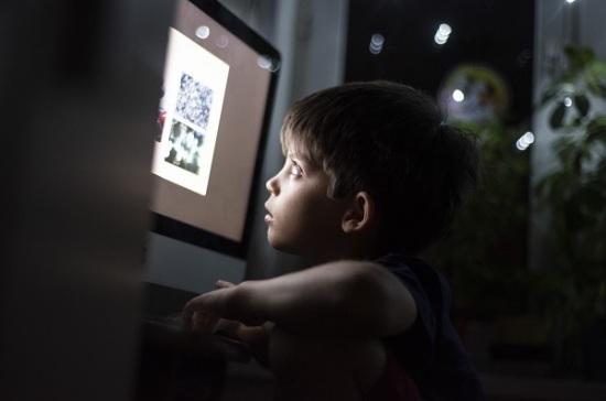 За безопасностью интернет-пространства проследят в Общественной палате