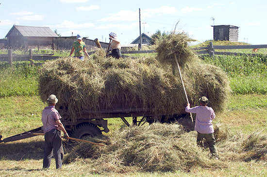 Дояркам и комбайнёрам предлагают надбавить пенсии