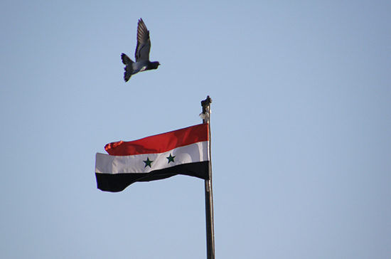 Сирия обратилась в ООН в связи с авиаударом международной коалиции по городу Хаджин