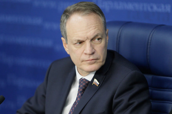 Башкин: упрощённая оплата штрафов может нарушить Конституцию