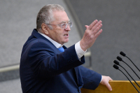 Жириновский предложил оценить результаты нахождения России в ВТО