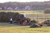 Губернатор: почти половина населения Алтайского края живёт в сёлах
