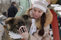  Путин подписал закон об ответственном обращении с животными