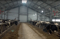В Вологодской области открылась молочная ферма