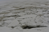 В Астрахани девятиклассник спас провалившегося под лёд мальчика