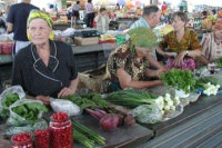 Торгующих на рынке садоводов предложено освободить от получения карточки продавца
