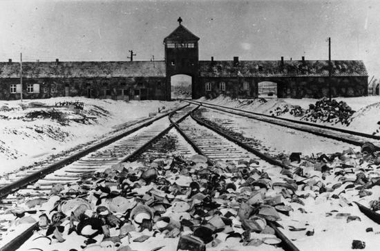 Советские войска освободили узников Освенцима 74 года назад